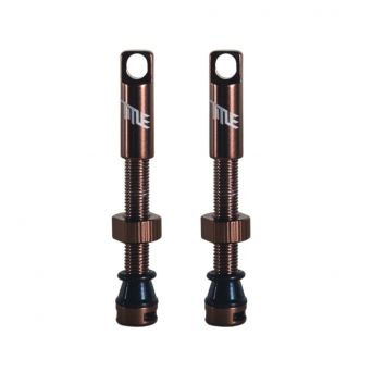 Title Tubeless Valves - Bronze