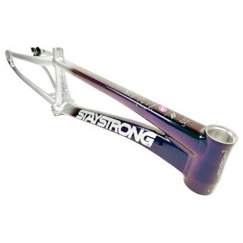 Stay Strong For Life V5 2024 - Chameleon / Silver Frame