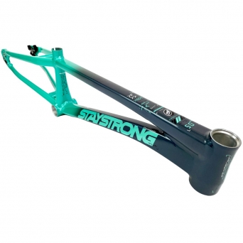 Stay Strong For Life V5 2024 - Charcoal / Mint Frame