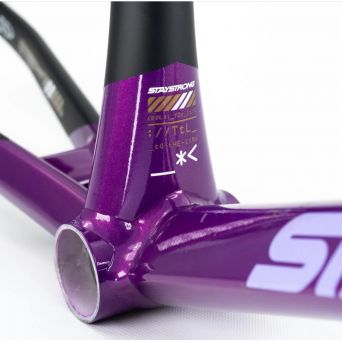Stay Strong For Life V5 2025 Frame - Purple / Black