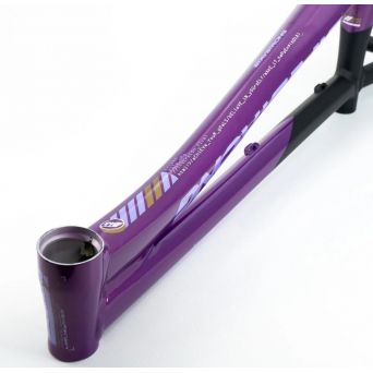 Cadre Stay Strong For Life V5 2025 - Purple / Black