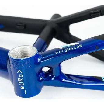 Stay Strong For Life V5 2025 Frame - Navy / Black