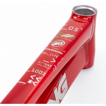 Stay Strong For Life V5 2025 Frame - Red / Black