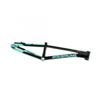 Stay Strong For Life V5.1 2026 Frame - Tiffany/Black