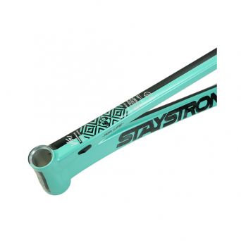 Stay Strong For Life V5.1 2026 Frame - Tiffany/Black