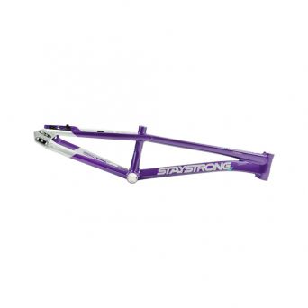 Stay Strong For Life V5.1 2026 Frame - Purple/Silver