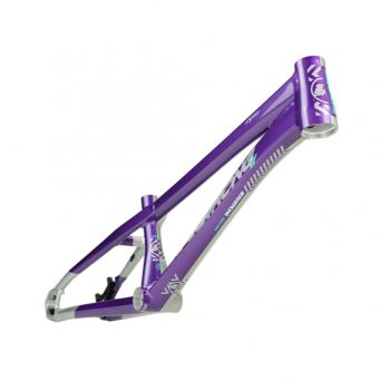 Cadre Stay Strong For Life V5.1 2026 - Purple/Silver