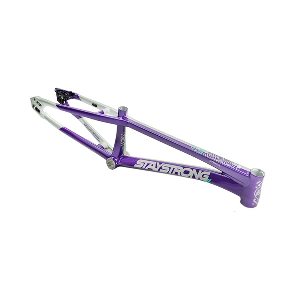 Cadre Stay Strong For Life V5.1 2026 - Purple/Silver
