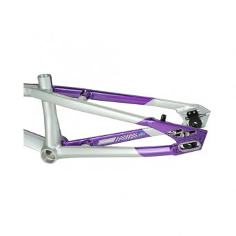 Cadre Stay Strong For Life V5.1 2026 - Purple/Silver