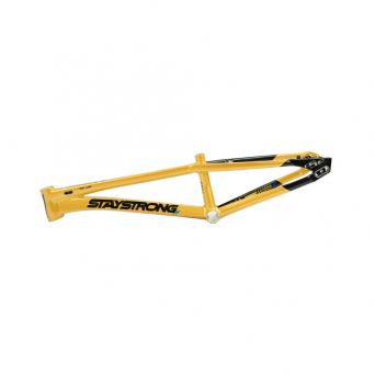 Stay Strong For Life V5.1 2026 Frame - Gold/Black