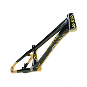 Stay Strong For Life V5.1 2026 Frame - Gold/Black