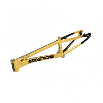 Stay Strong For Life V5.1 2026 Frame - Gold/Black