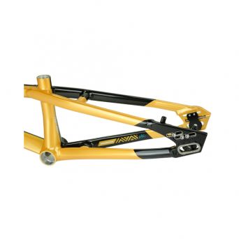 Stay Strong For Life V5.1 2026 Frame - Gold/Black