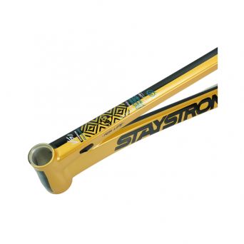 Cadre Stay Strong For Life V5.1 2026 - Gold/Black