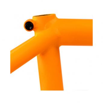 Federal Code Frame - Matt Orange