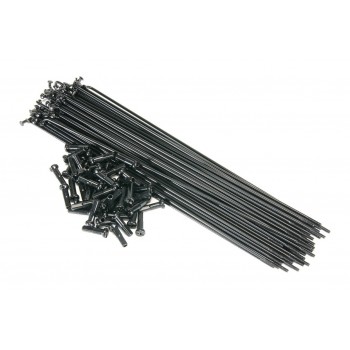 ECLAT PG SPOKES BLACK (x 50)