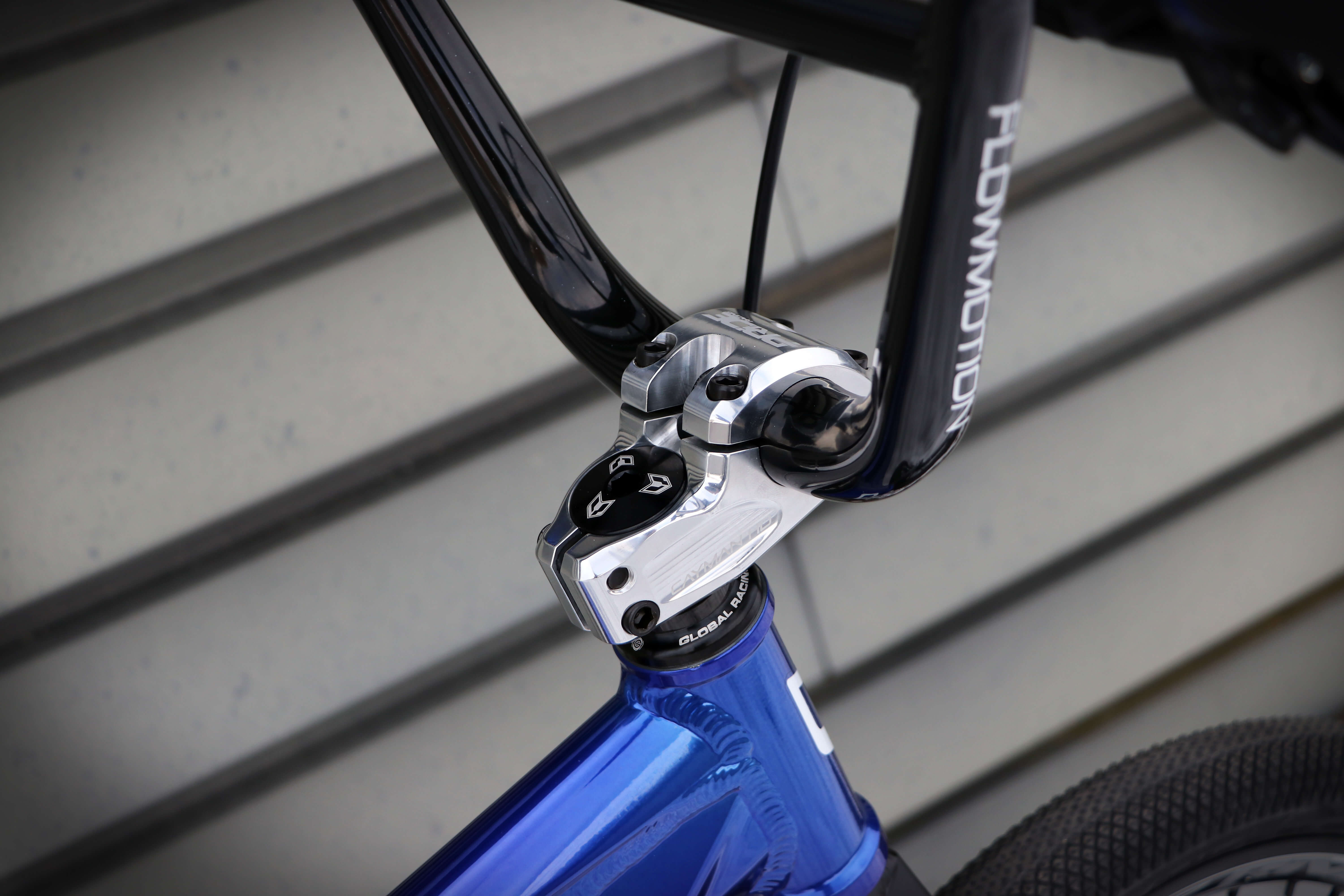 Cayman Stem